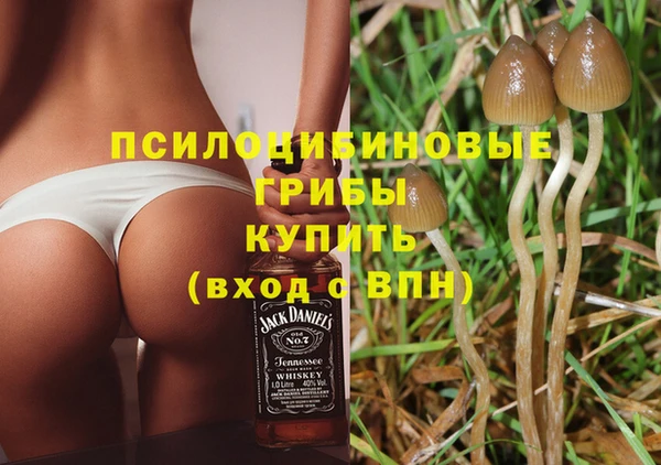 гашик Алексин