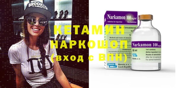 гашик Алексин