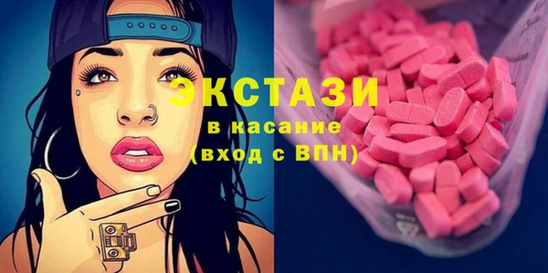 гашик Алексин