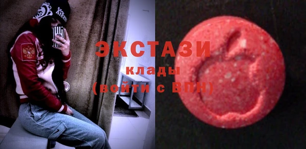 гашик Алексин