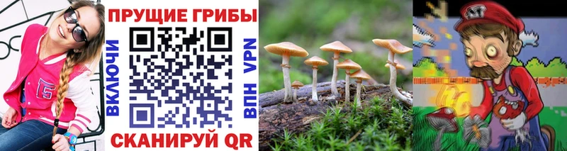 Псилоцибиновые грибы ЛСД  мега как войти  Бабушкин 